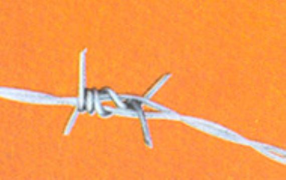 Galvanized Barbed Wire